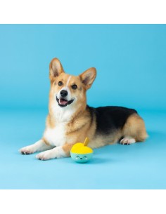 You Make Miso Happy Latex Dog Toy - pack of 4 2