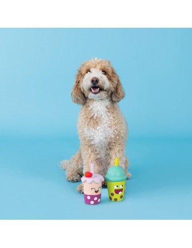 Best-Teas 2 Piece Latex Dog Toy - pack of 4