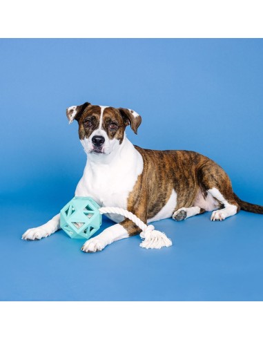 Pull my way turquoise | Rubber | Touw