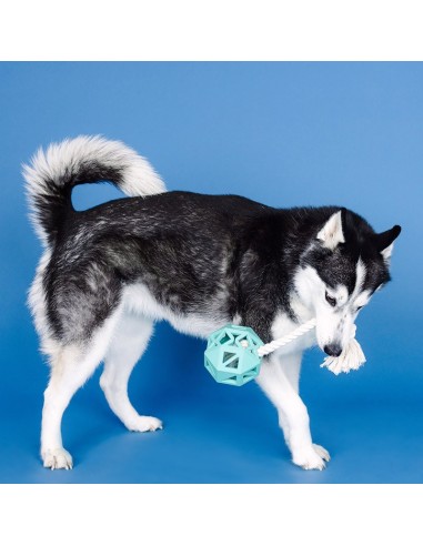 Pull my way turquoise | Rubber | Touw