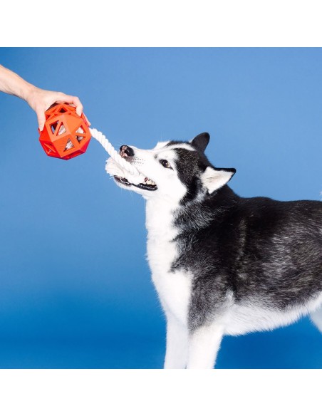 Pull My Way Red Rubber Dog Toy - pack of 4