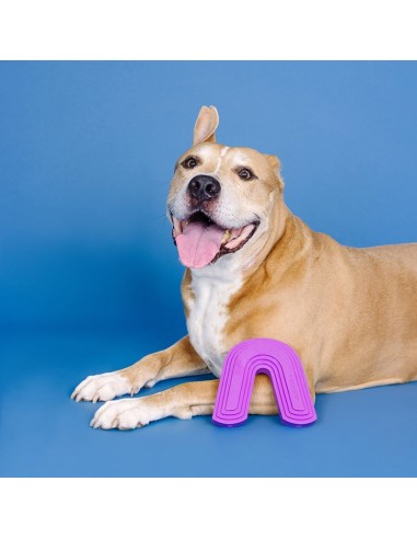 Color me happy purple | Rubber