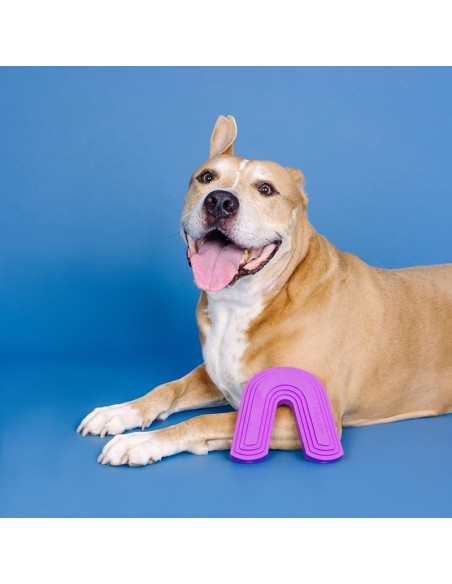 Color me happy purple | Rubber