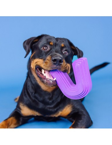 Color me happy purple | Rubber