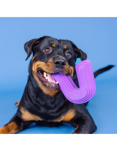 Color me happy purple | Rubber