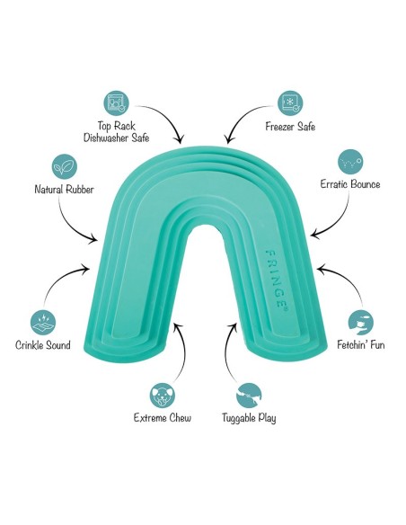 Color Me Happy Turquoise Rubber Dog Toy - pack of 4