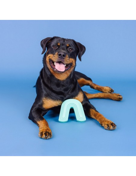 Color Me Happy Turquoise Rubber Dog Toy - pack of 4