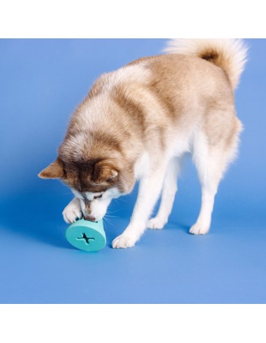You Cone Do It! Turquoise Rubber Dog Toy - pack of 4