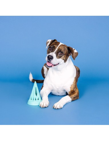 You Cone Do It! Turquoise Rubber Dog Toy - pack of 4