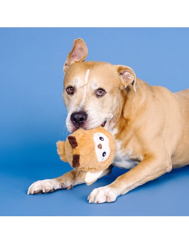 Don't Ruffle My Feathers Rubber/Plush Dog Toy - pack of 4
