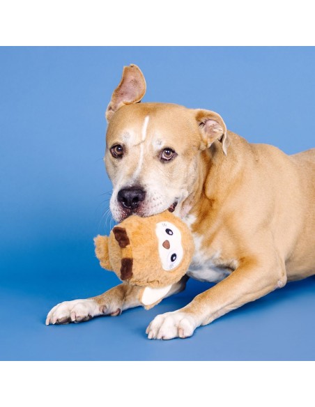 Don't Ruffle My Feathers Rubber/Plush Dog Toy - pack of 4