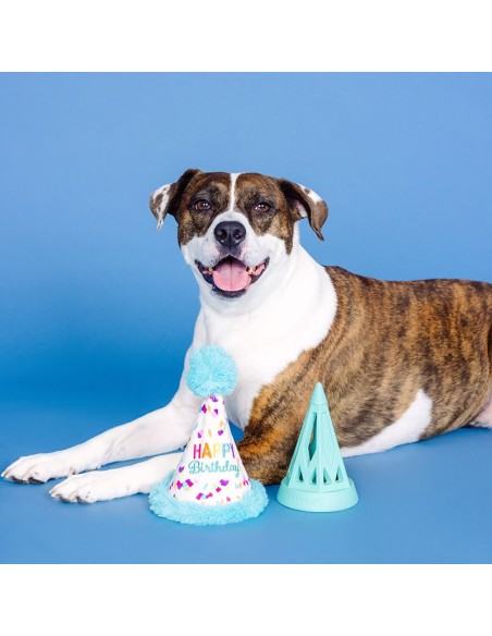 Yappy barkday | Rubber