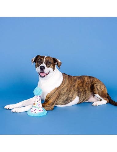 Yappy barkday | Rubber