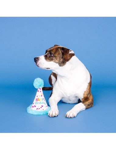 Yappy barkday | Rubber
