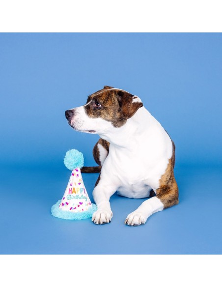 Yappy barkday | Rubber