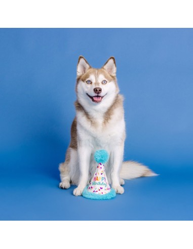 Yappy barkday | Rubber