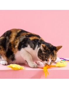 Purr-fect weather | Cat - Set 2