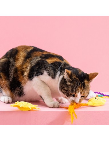 Purr-fect weather | Cat - Set