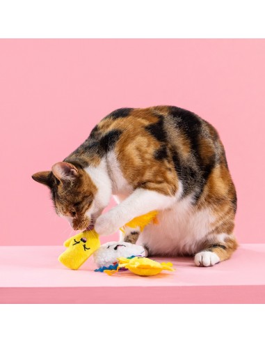 Purr-fect weather | Cat - Set