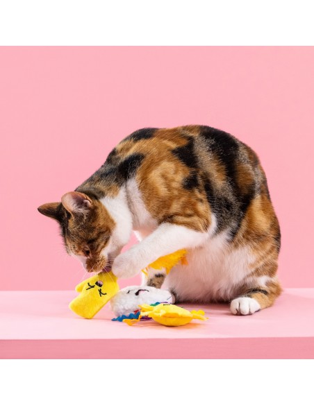 Purr-fect weather | Cat - Set