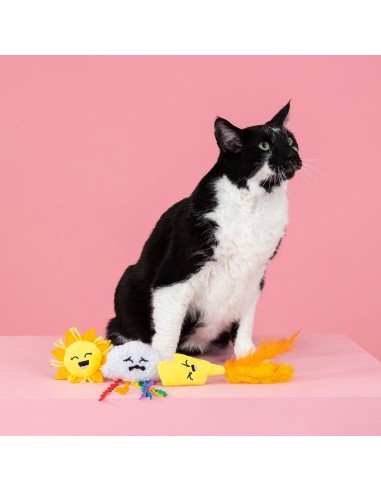 Purr-fect weather | Cat - Set