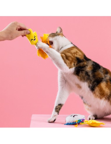 Purr-fect weather | Cat - Set