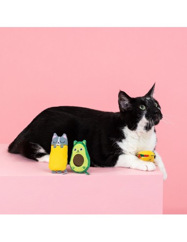 Kitty cravings | Cat - Set