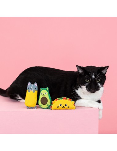 Kitty cravings | Cat - Set