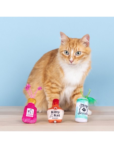 Set Kitten My Drink On | Cat