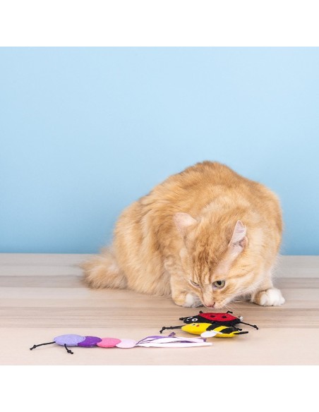 Set Living The Bug Life | Cat