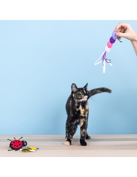 Set Living The Bug Life | Cat