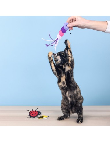 Set Living The Bug Life | Cat