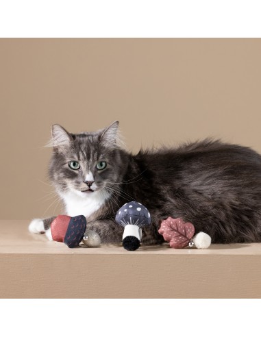 FOREST FINDS CAT TOY SET OF 3