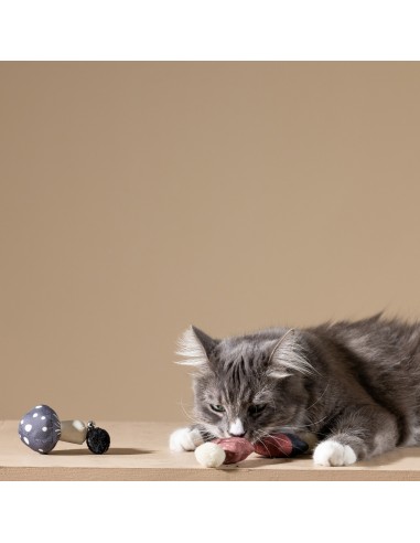 FOREST FINDS CAT TOY SET OF 3