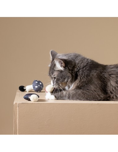 FOREST FINDS CAT TOY SET OF 3
