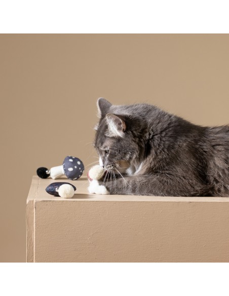 FOREST FINDS CAT TOY SET OF 3