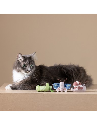 CATCH ME IF YOU CAN CAT TOY SET OF3