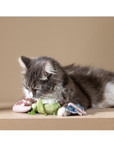 CATCH ME IF YOU CAN CAT TOY SET OF3