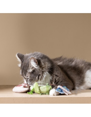 CATCH ME IF YOU CAN CAT TOY SET OF3