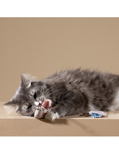 CATCH ME IF YOU CAN CAT TOY SET OF3