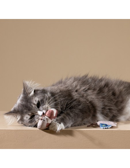 CATCH ME IF YOU CAN CAT TOY SET OF3