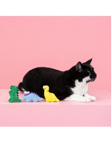 Set Rawr-some crew | Cat