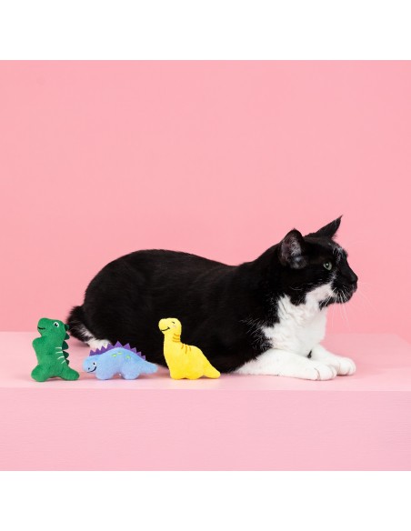 Set Rawr-some crew | Cat