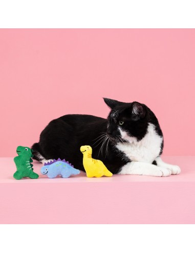 Set Rawr-some crew | Cat