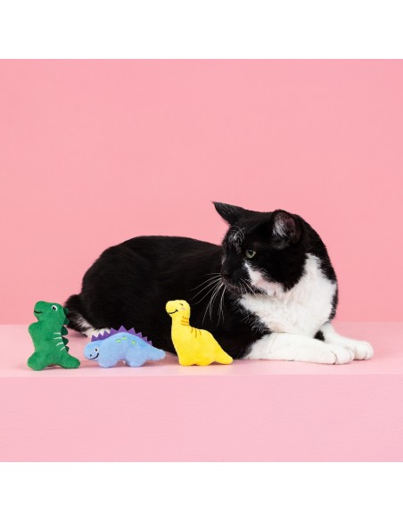 Set Rawr-some crew | Cat