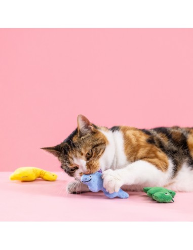 Set Rawr-some crew | Cat
