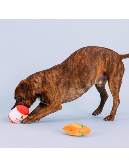 Nothin' But Noodles Interactive Toys - pack of 4