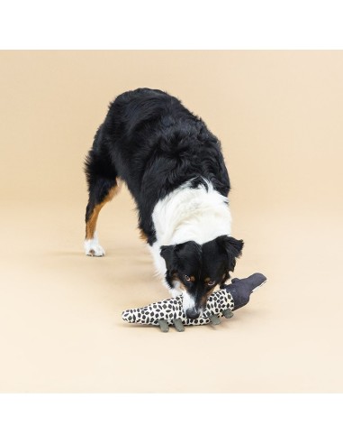 CROC MY WORLD CANVAS DOG TOY