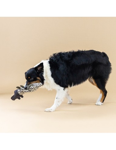 CROC MY WORLD CANVAS DOG TOY