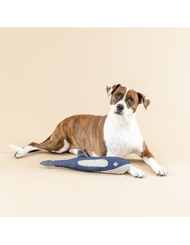 THERE SHE BLOWS CANVAS DOG TOY